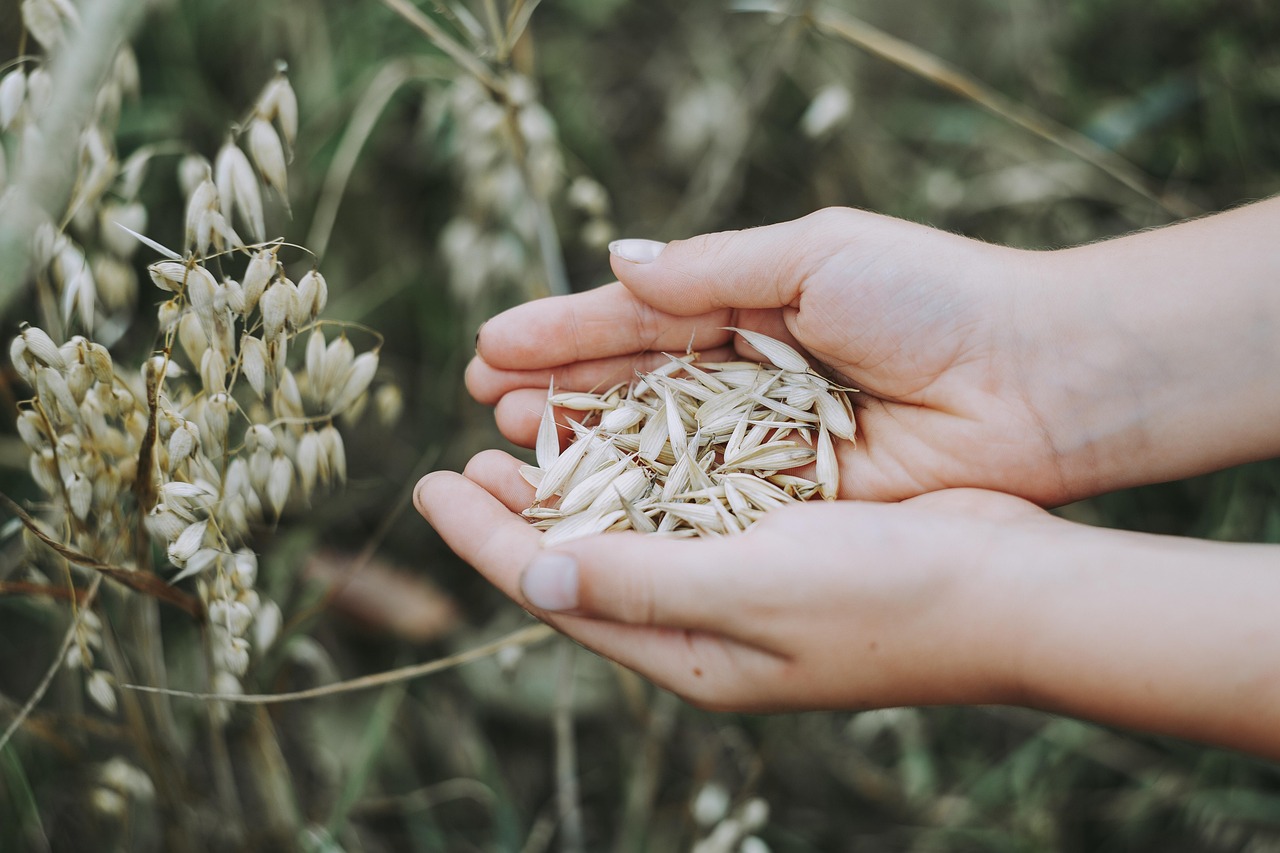 découvrez des conseils, informations et astuces sur la nutrition pour adopter une alimentation saine et équilibrée, améliorer votre bien-être et atteindre vos objectifs santé.