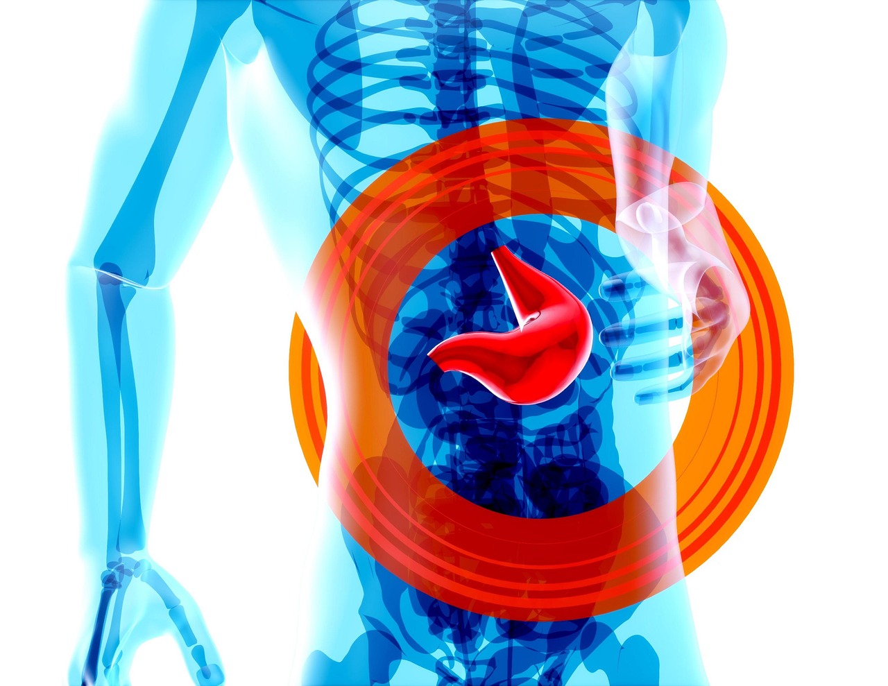 découvrez comment améliorer votre santé intestinale grâce à des conseils, des astuces nutritionnelles et des informations sur le microbiote, pour une digestion optimale et un bien-être général.