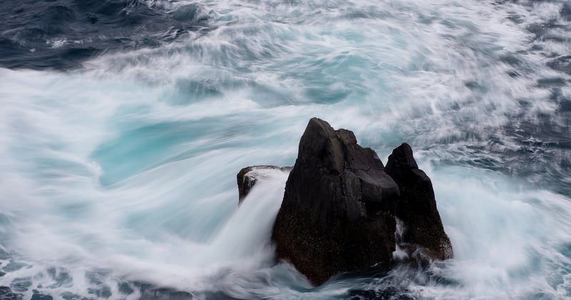 Hybride plein format : le meilleur des deux mondes pour vos photos