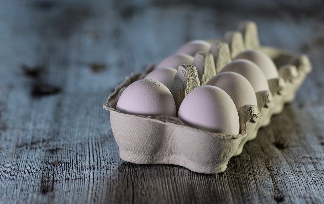 découvrez tout sur les produits laitiers : types, bienfaits nutritionnels, conseils de consommation et astuces pour intégrer le lait, les fromages et les yaourts à une alimentation équilibrée.