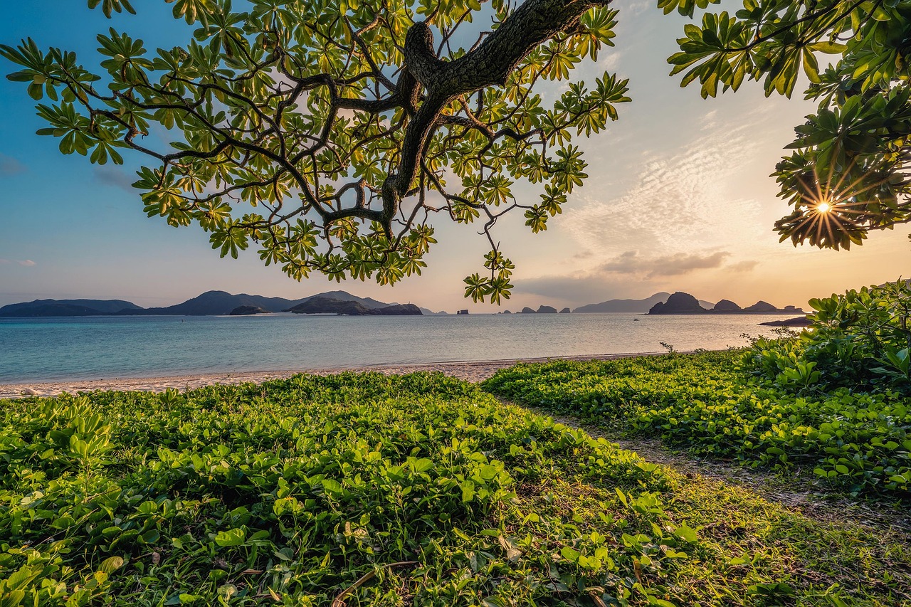 découvrez la beauté de la nature à travers ses paysages, sa faune et sa flore. explorez des articles, conseils et inspirations pour vivre en harmonie avec l’environnement.