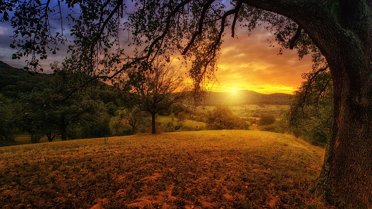 découvrez tout sur le soleil, notre étoile essentielle : son rôle, ses caractéristiques, son importance pour la vie sur terre et les mystères qu’il continue de révéler à la science.