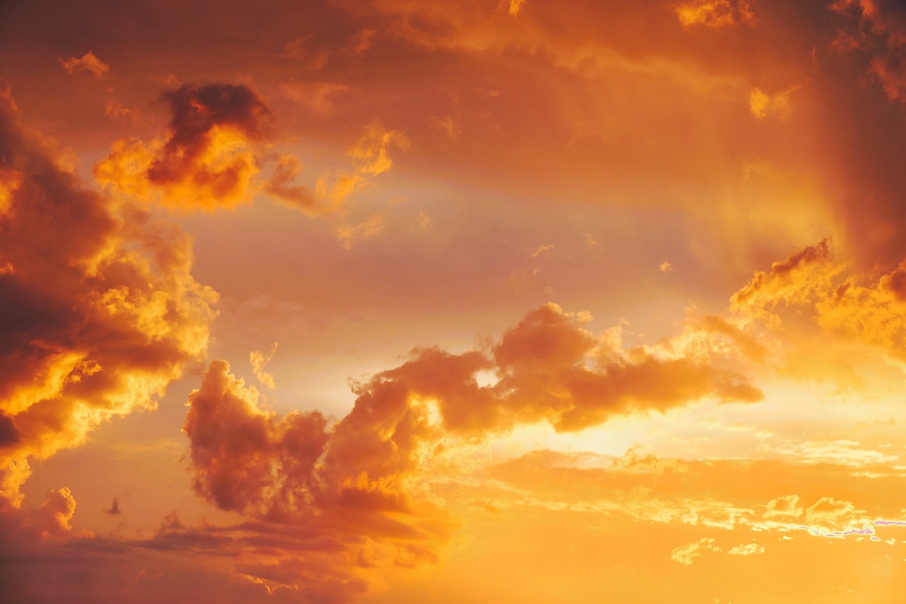 découvrez le soleil : son influence sur la terre, ses bienfaits pour la santé, son rôle dans notre système solaire. informations et curiosités sur notre étoile.