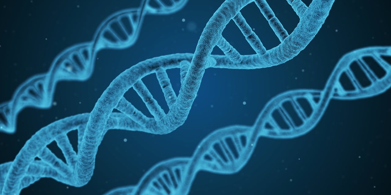 découvrez tout ce qu'il faut savoir sur les maladies chroniques : types, causes, symptômes et méthodes de prévention pour mieux vivre au quotidien.