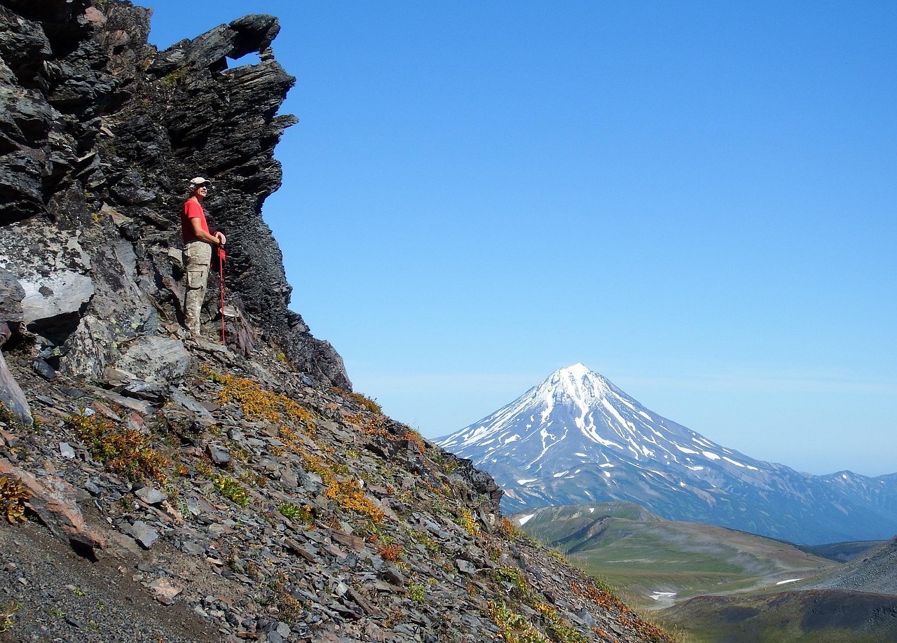 découvrez ce que sont les toxines, leur origine, leurs effets sur la santé et comment s'en protéger au quotidien grâce à des conseils simples et efficaces.