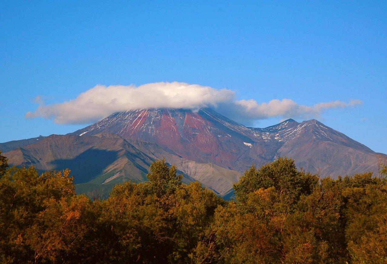 découvrez ce que sont les toxines, leurs effets sur la santé et comment réduire l’exposition à ces substances nocives présentes dans l’environnement, l’alimentation et le mode de vie.