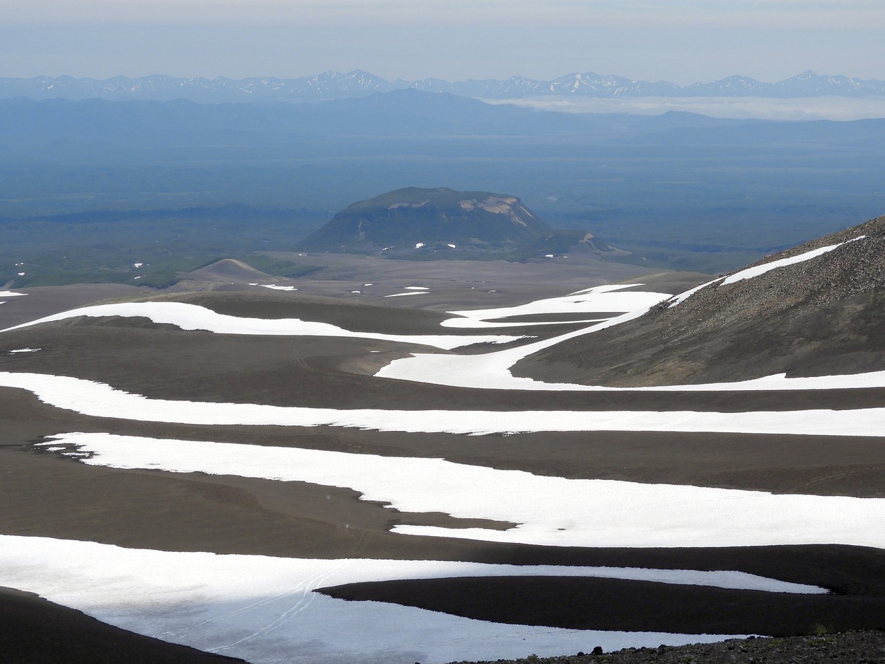 découvrez tout sur les toxines : leur origine, leurs effets sur la santé et des conseils pour s’en protéger efficacement.