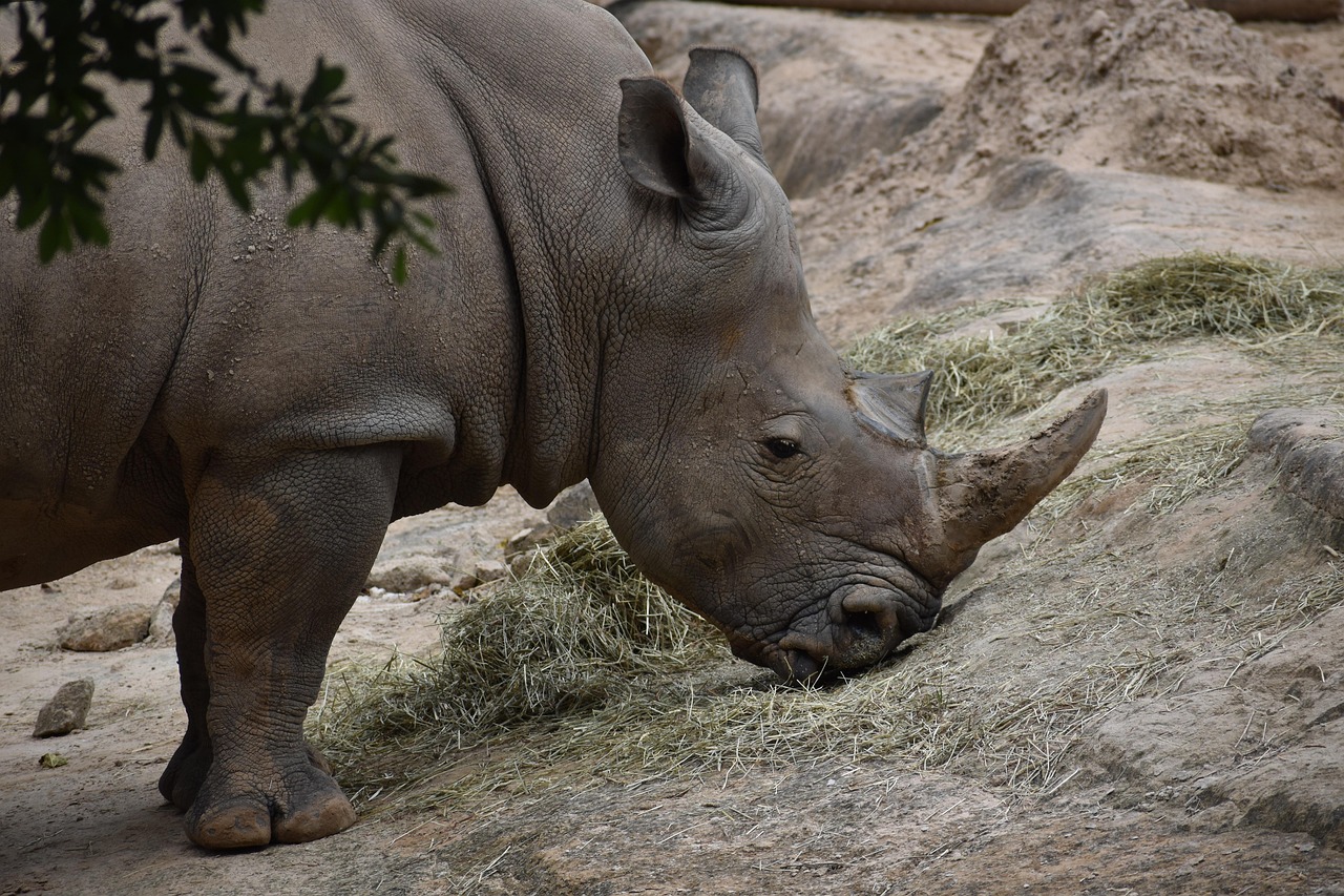 découvrez nos conseils et solutions efficaces pour hydrater et apaiser les peaux sèches. retrouvez une peau douce et confortable au quotidien.