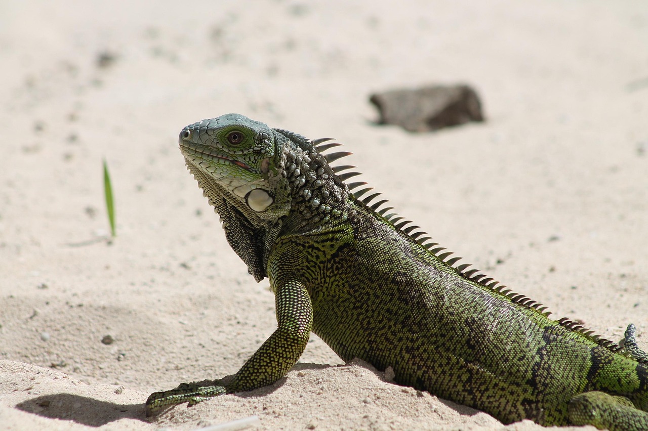d&eacute;couvrez nos conseils et solutions efficaces pour prendre soin de votre peau s&egrave;che, l'hydrater intens&eacute;ment et retrouver confort et douceur au quotidien.